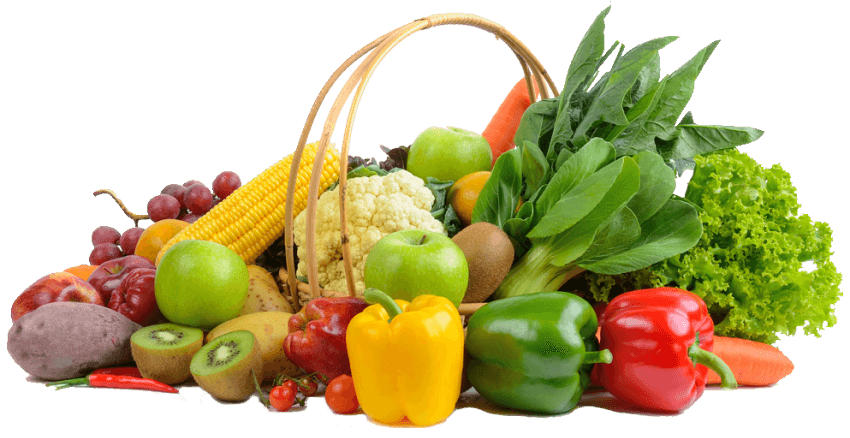 The Online  Grocery Store